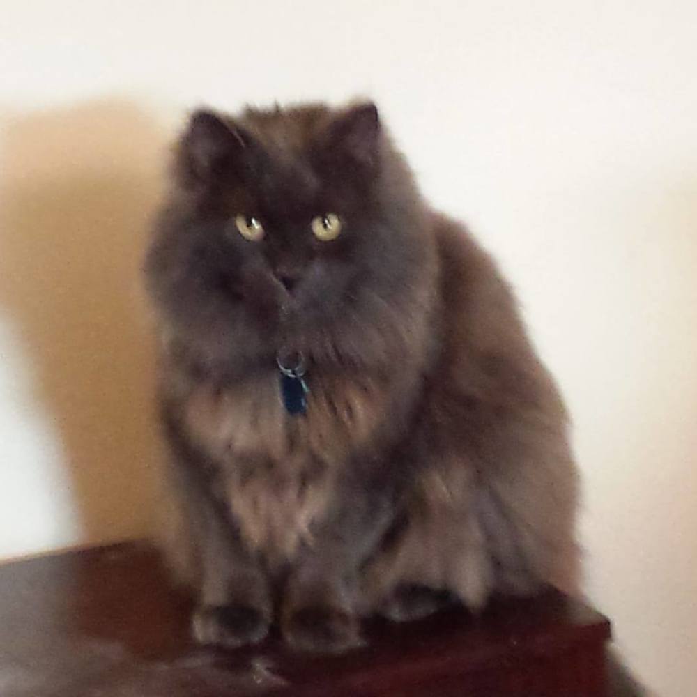Meet your Posher, Rod